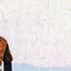 Illustration for article titled Whatever Happened To Individuality?